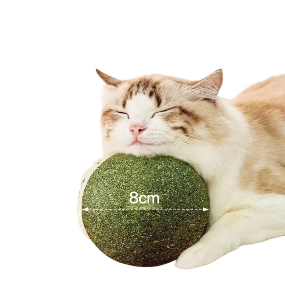 Bóng catnip khổng lồ hỗ trợ tiêu búi lông, ổn định tâm trạng cho mèo