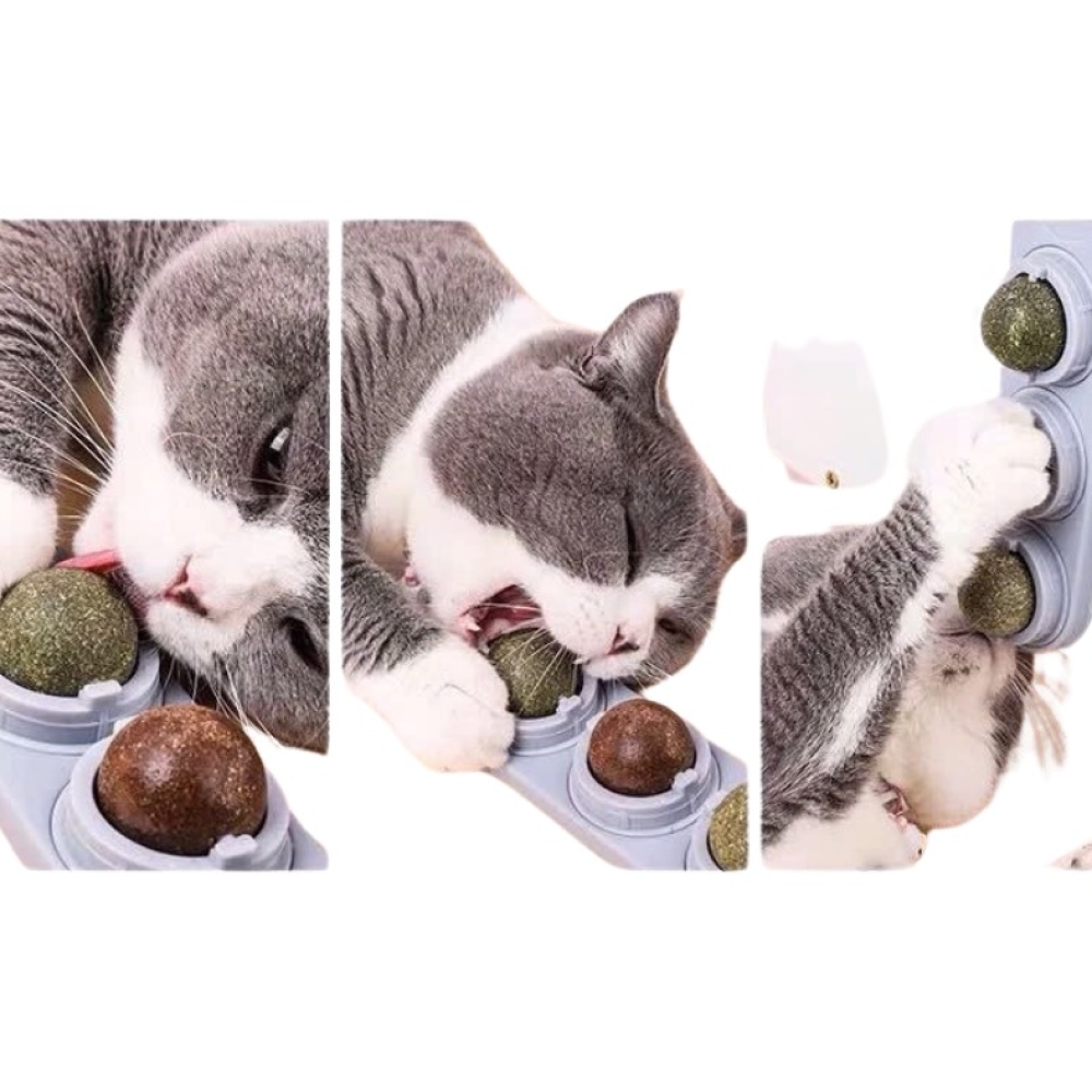 Set catnip dưỡng lông, hỗ trợ tiêu hóa cho mèo