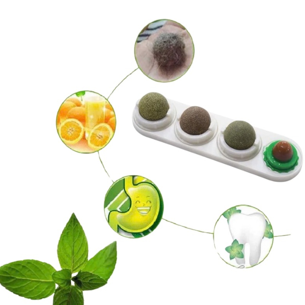 Set catnip dưỡng lông, hỗ trợ tiêu hóa cho mèo
