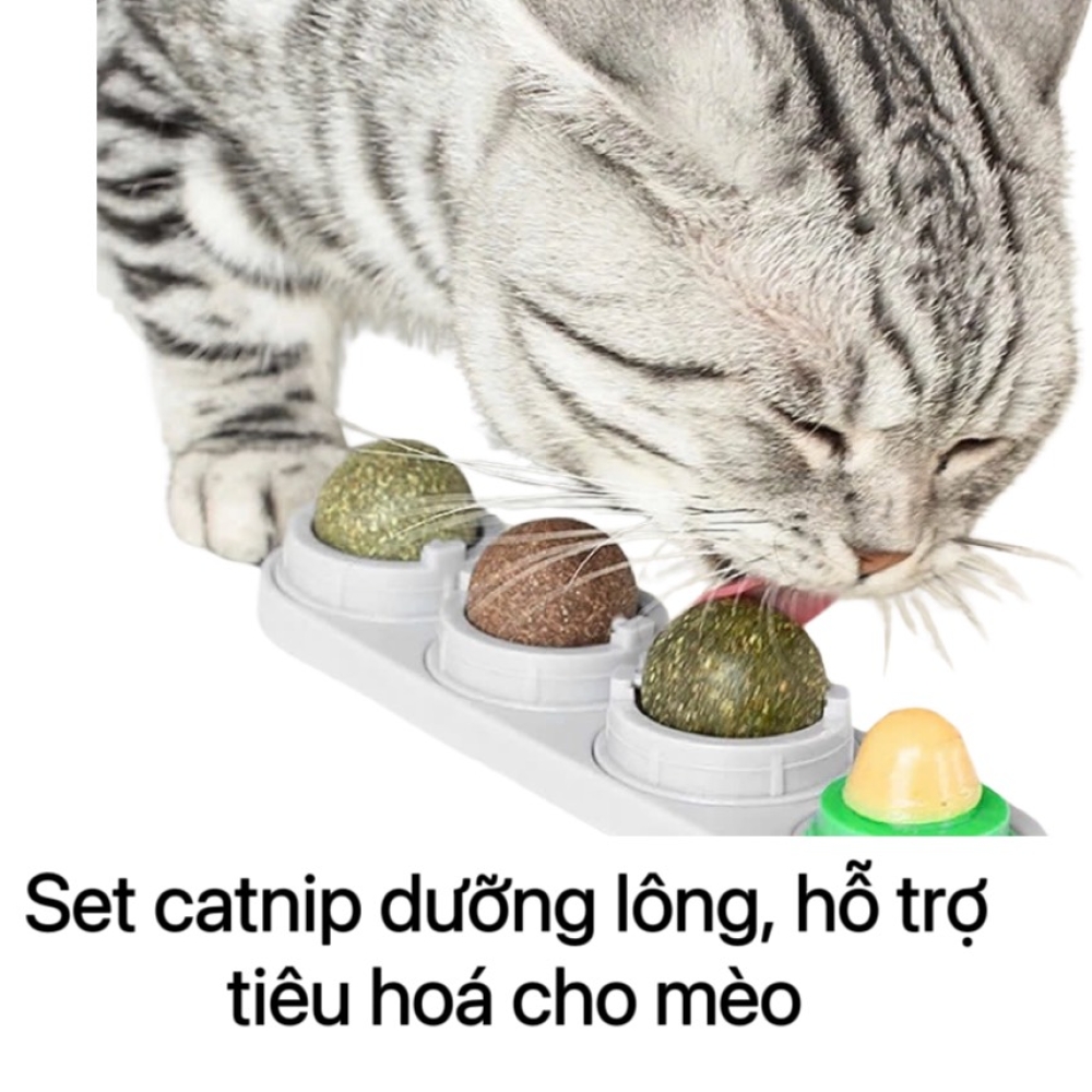 Set catnip dưỡng lông, hỗ trợ tiêu hóa cho mèo
